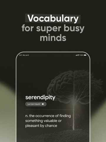 Vocabulary Builder by Learning ipad screenshot 2