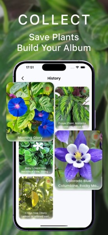 Leaf Identifier – Leafdify Screenshot 3 of 5