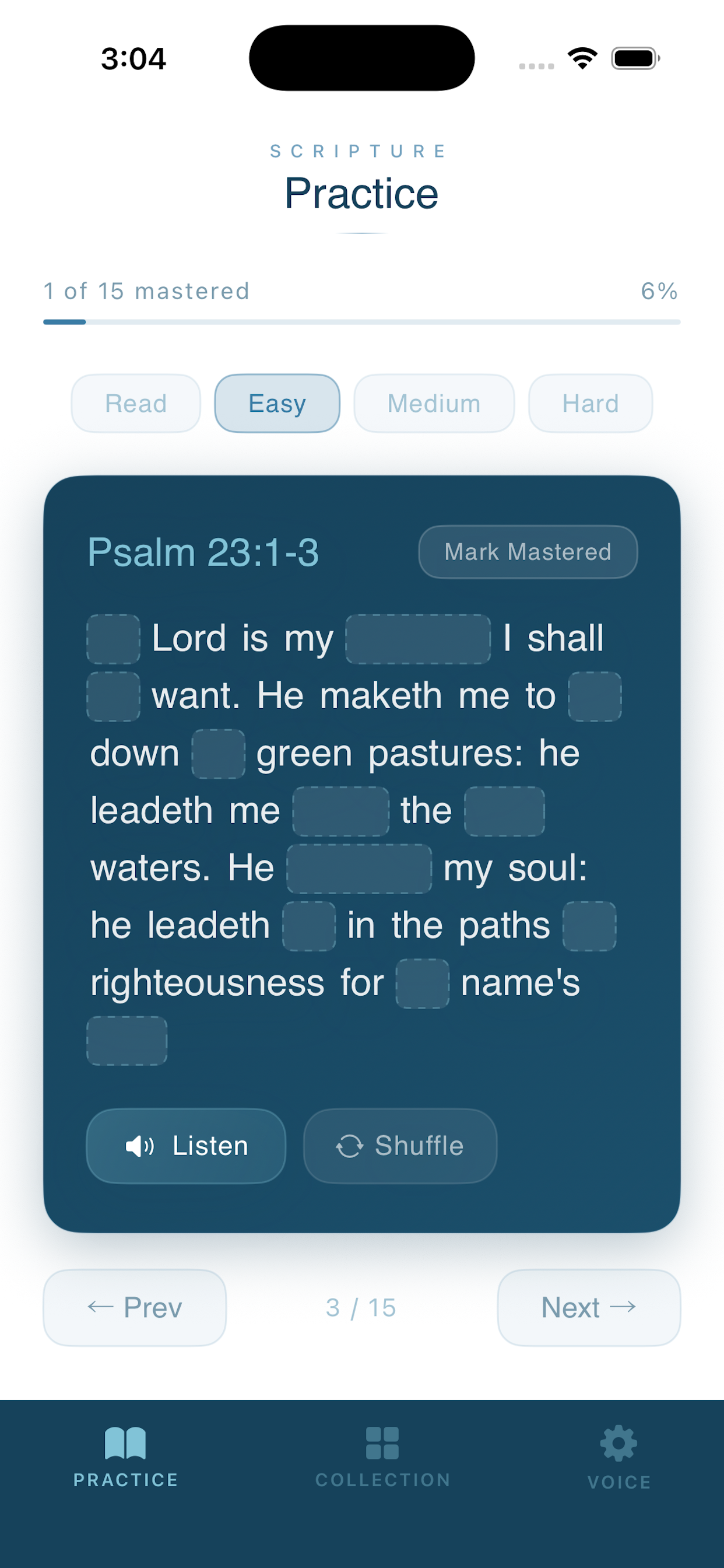 Scripture Practice