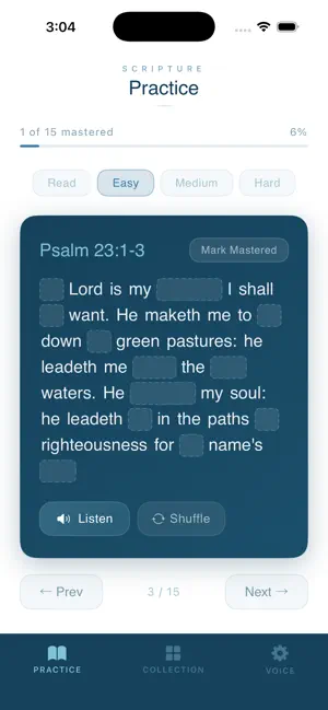 Scripture Practice screenshot 3