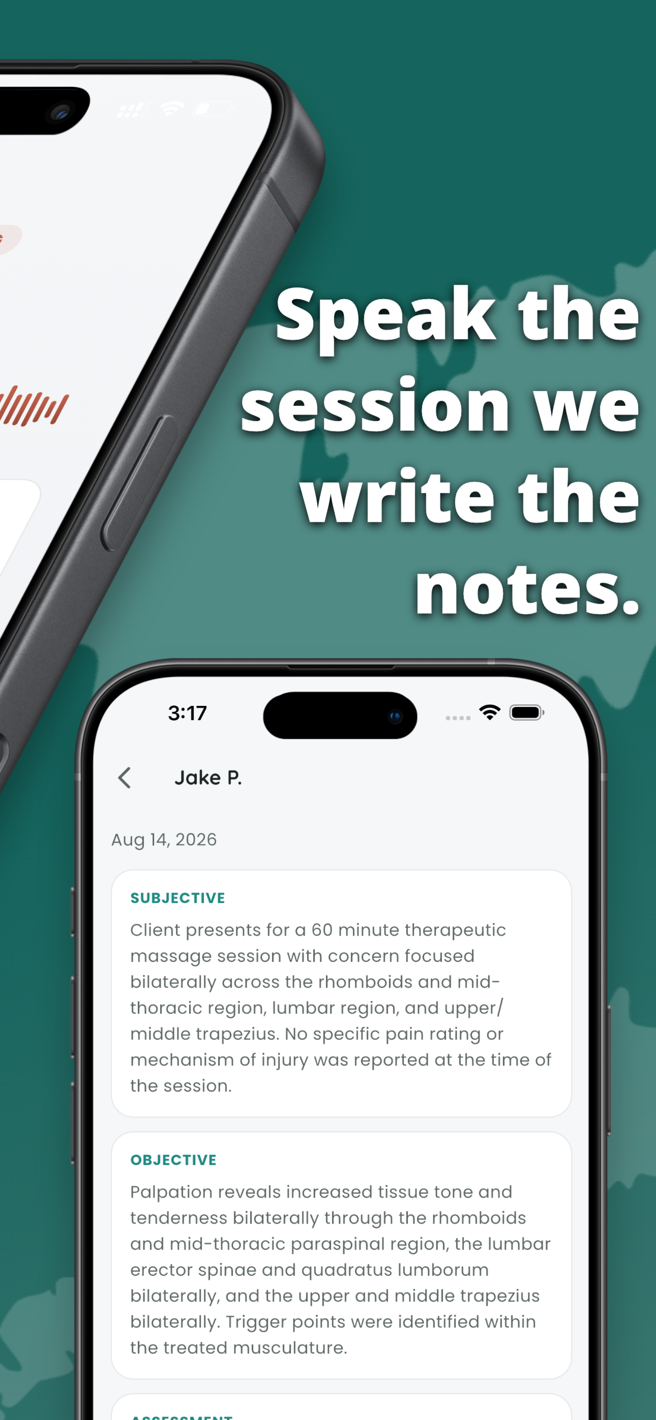 Massage Scribe: SOAP Notes screenshot 3