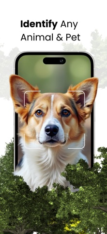 Pawify: AI Animal Identifier Screenshot 1 of 4