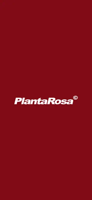 Planta Rosa - online store screenshot 1