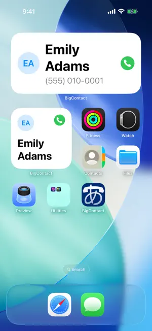 BigContact screenshot 3