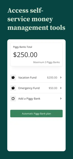 Direct Express® Mobile App screenshot 3