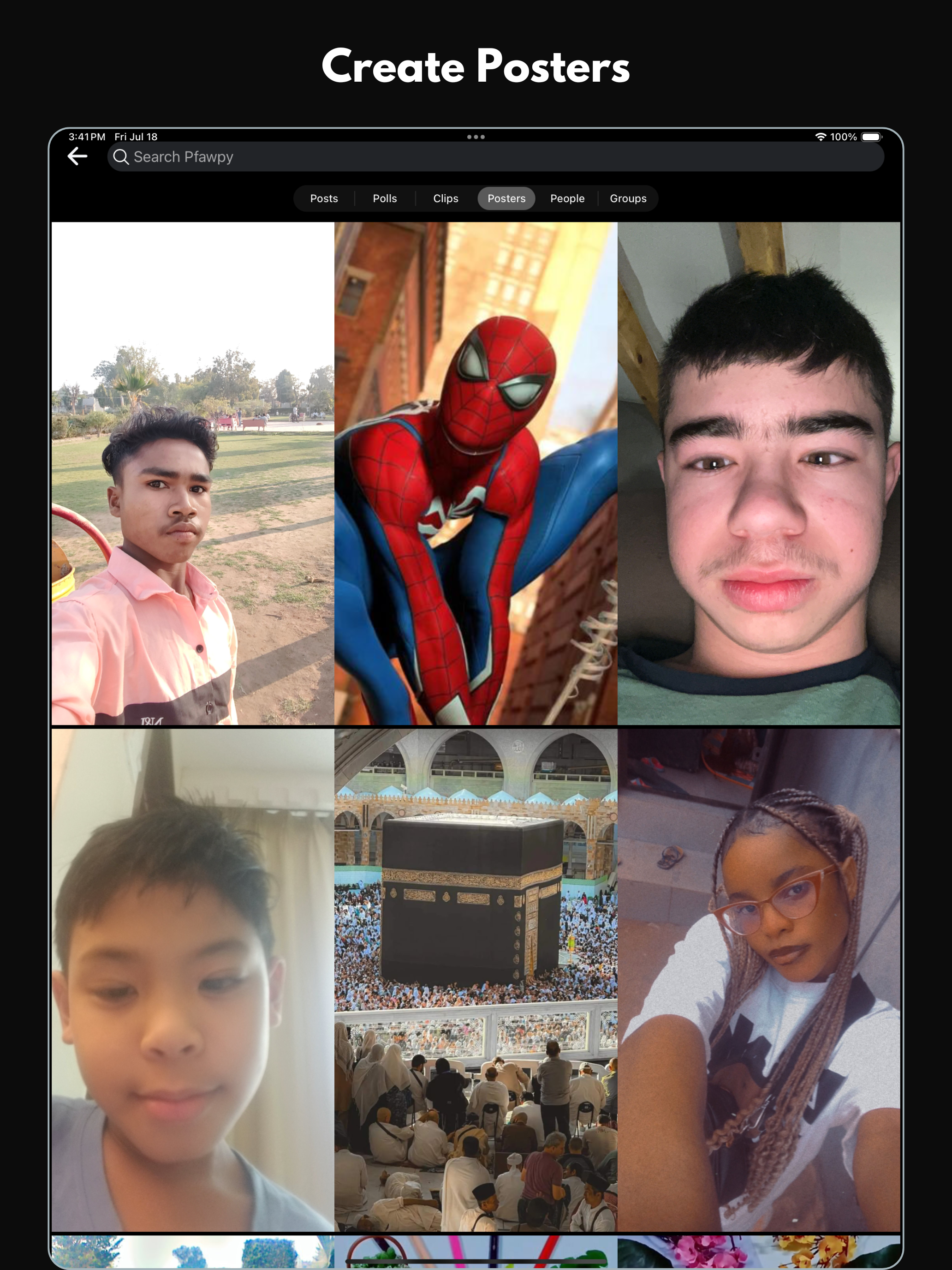 Pfawpy screenshot 11