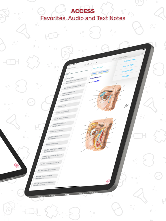 Human Anatomy Atlas + iPad screenshot 8 - Medical app