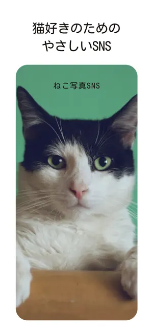 のらねこ screenshot 1