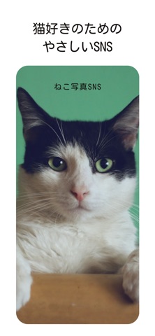 のらねこ iPhone screenshot