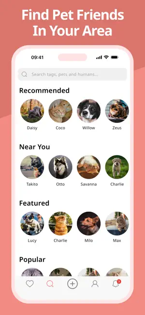Netapet screenshot 4