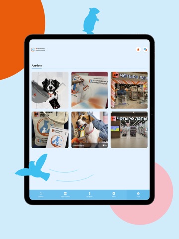 Конференция Четыре Лапы iPad screenshot