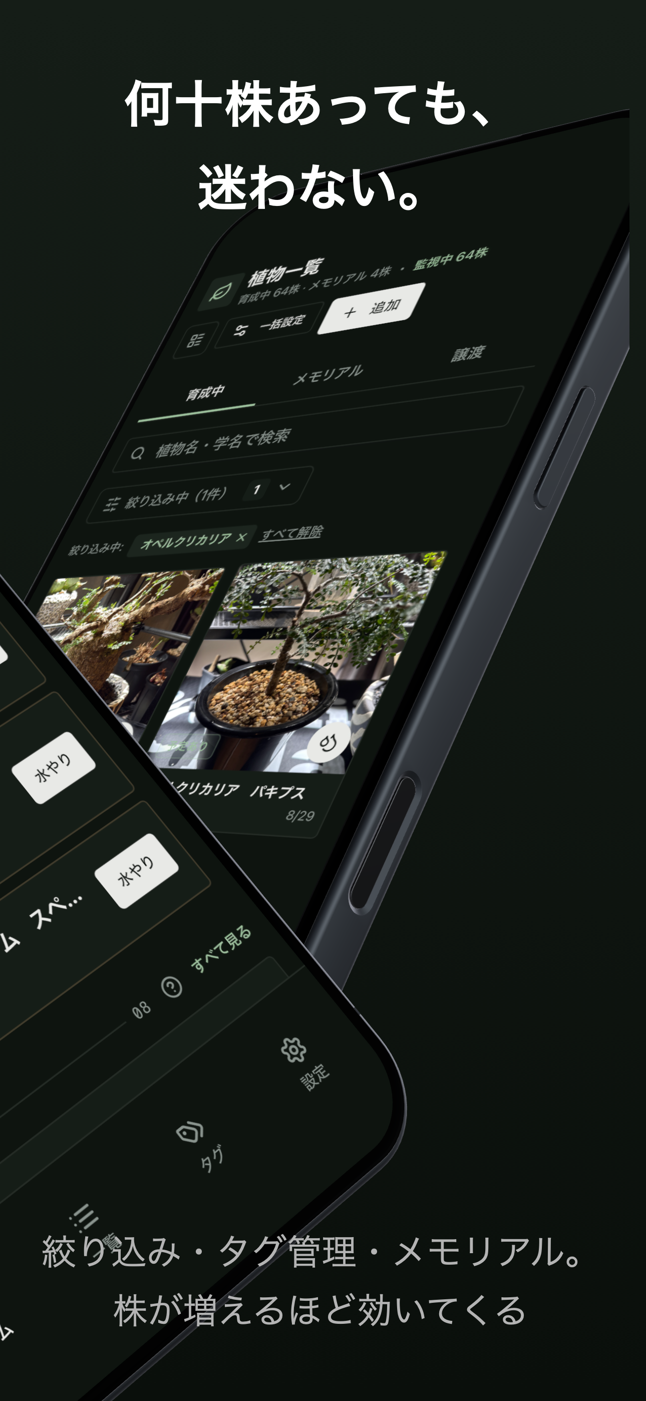 BotaCodex screenshot 3