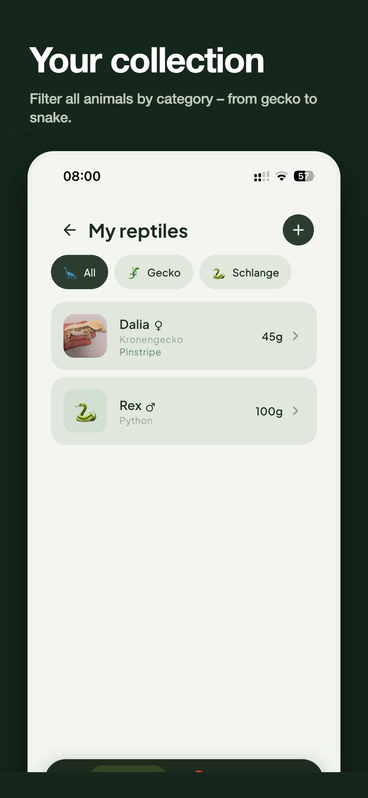 Repto – Reptile Manager
