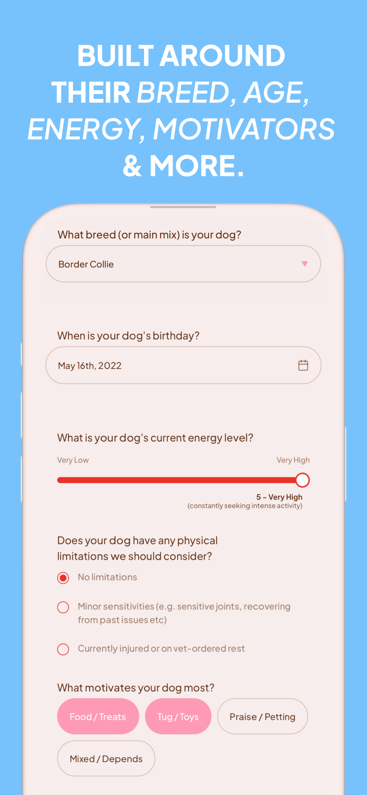 Snuffz: Dog Enrichment Routine
