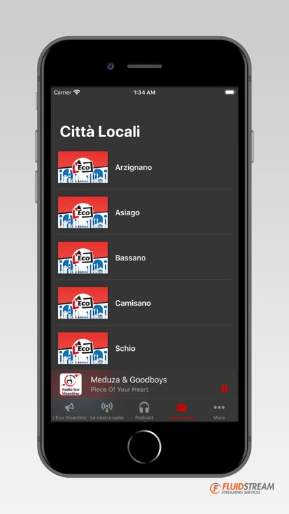 Eco Vicentino screenshot-4