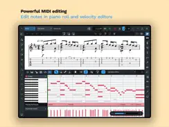 Dorico for Education iPad image 4