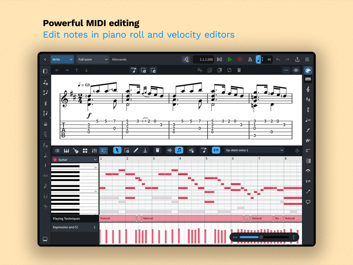 Dorico for Education