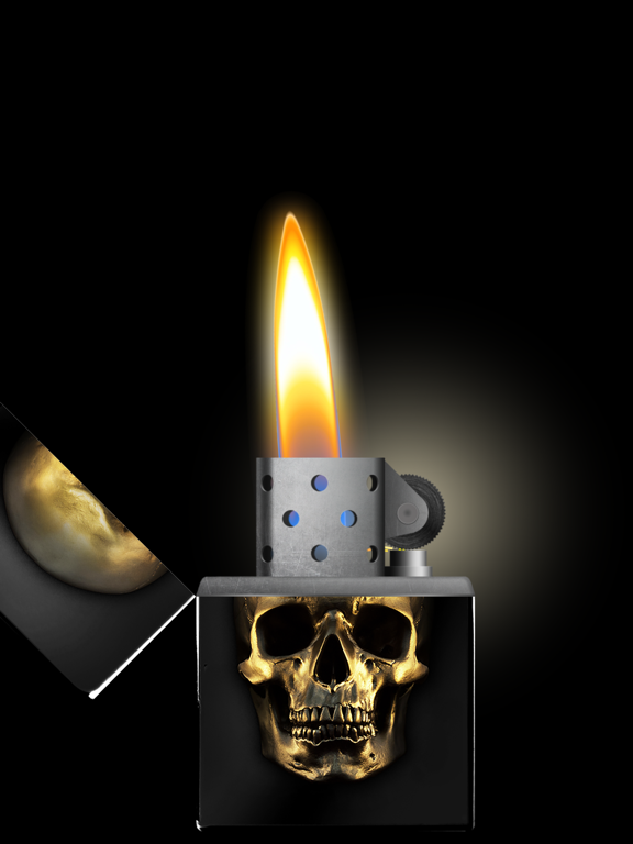 Screenshot #6 pour Briquet Simulateur