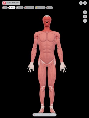 HumanBodyAtlas iPad screenshot