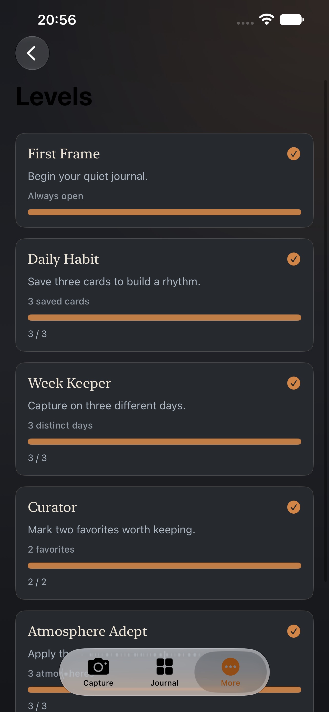 Screenshot 4 of FrameOnce DailyJournal