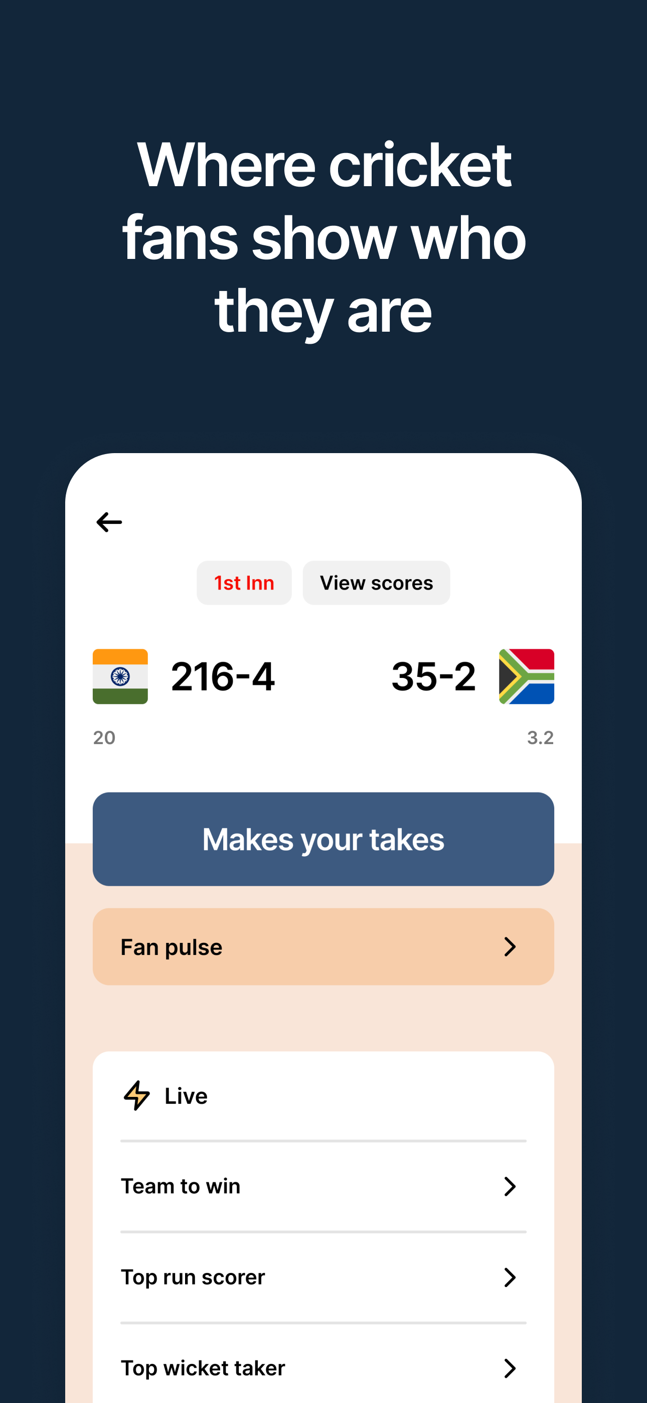Punt - Cricket Fan Game