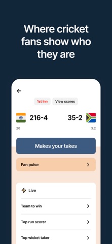 Punt - Cricket Fan Game screenshot
