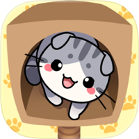 Cat Condo 2