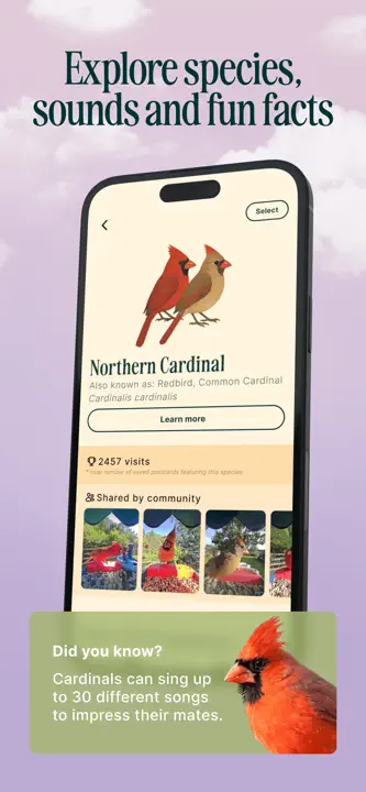 Birdbuddy: Screenshot 3 von 5