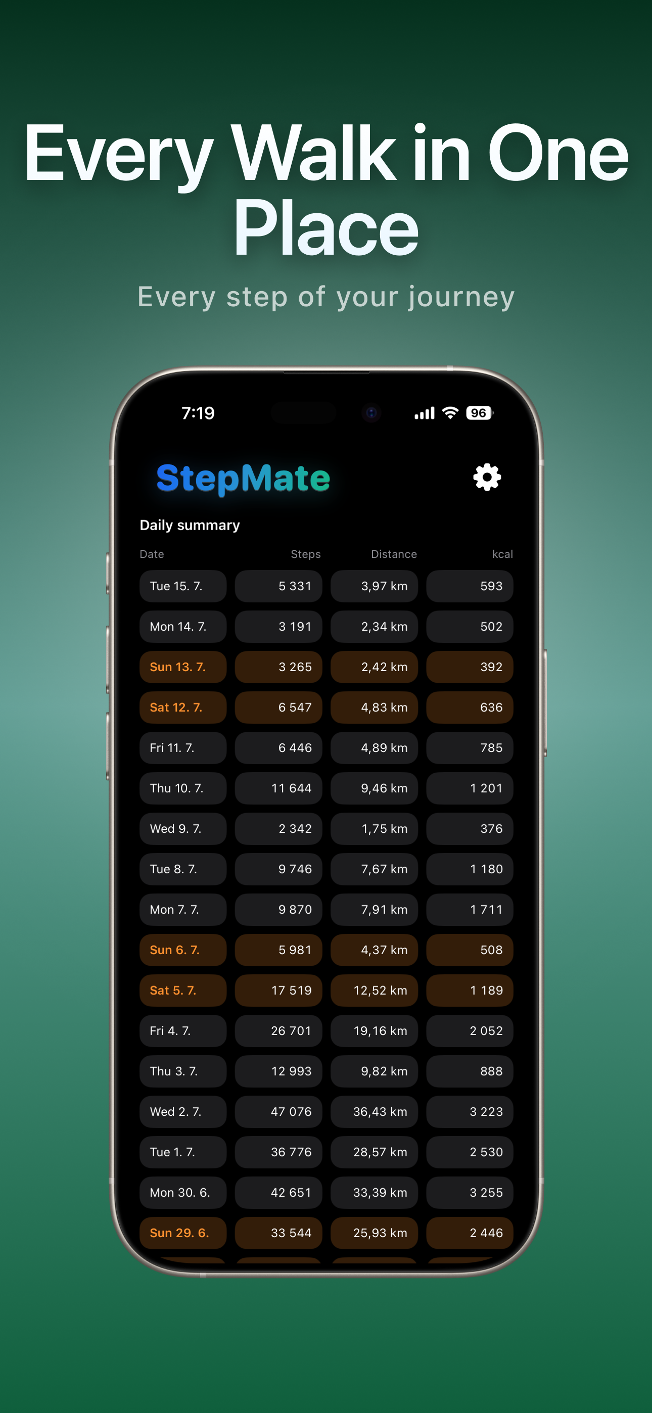 StepMate: Your Step Insights