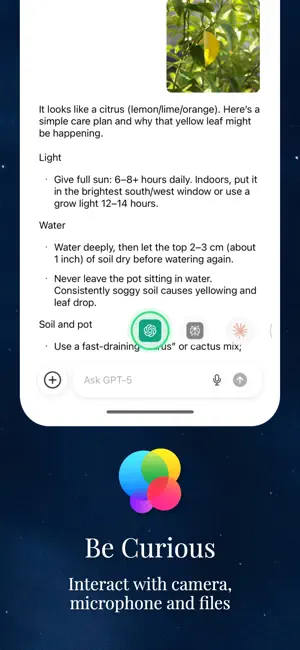 Backplain - Compare AI screenshot 4