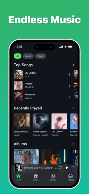 Offline Music Player & Media screenshot 1