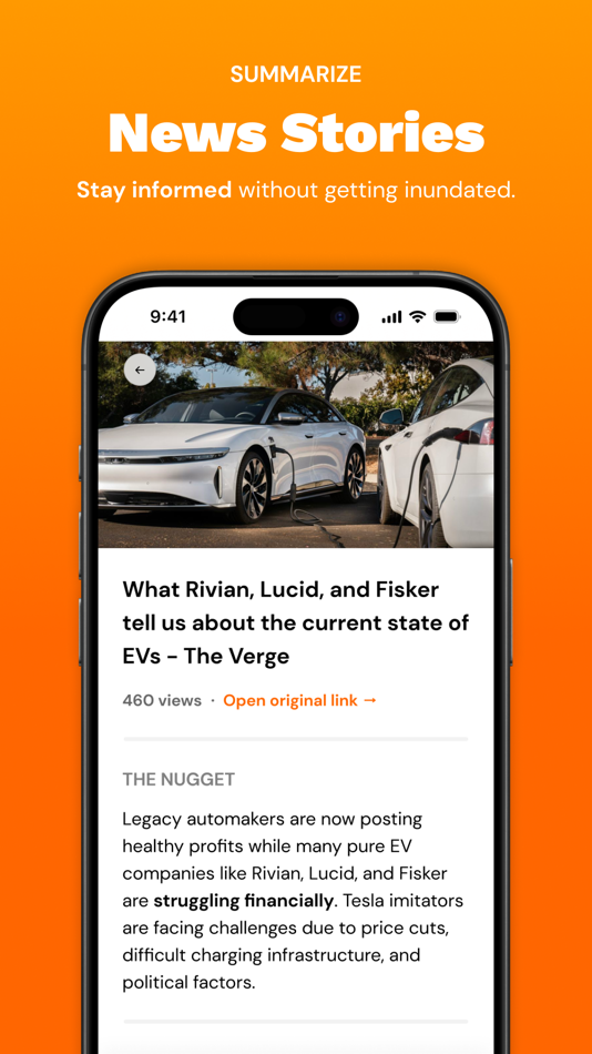 #3. Nuggetize: AI Chat & Summaries (macOS) 由: Organic Software LLC