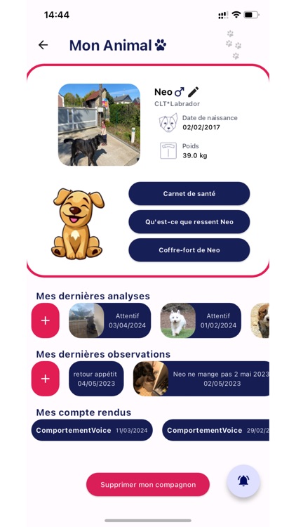 NeoVoice App screenshot-5