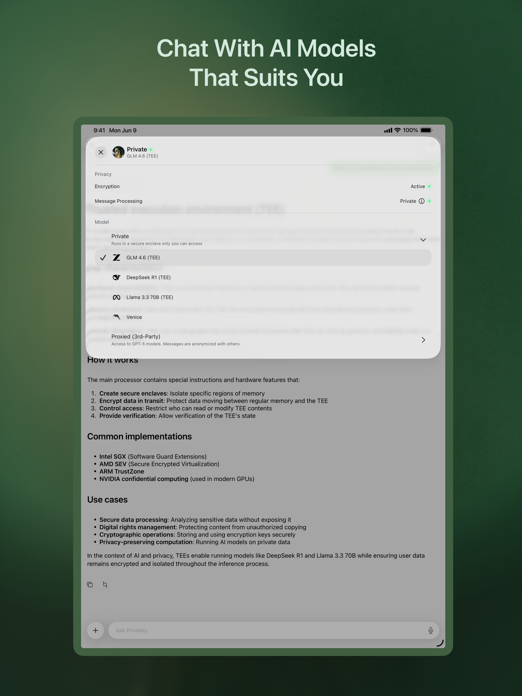 Silo - Private AI Chat screenshot 9