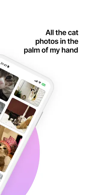 Cat Lovers’ Squad screenshot 2