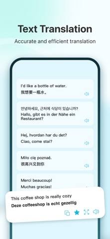 GeekTranslate iPhone screenshot