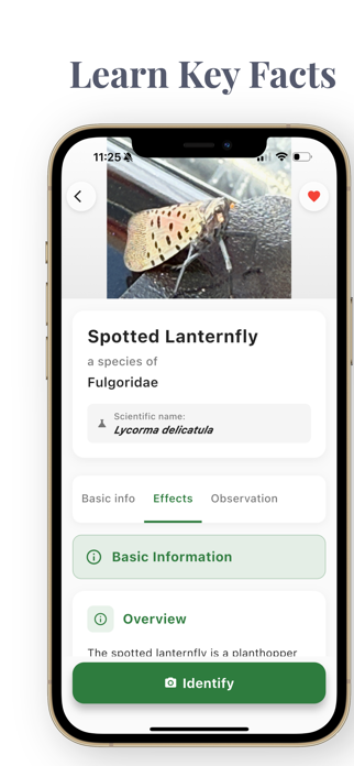 AI Insect Bug Identifier App Screenshot 5 of 5