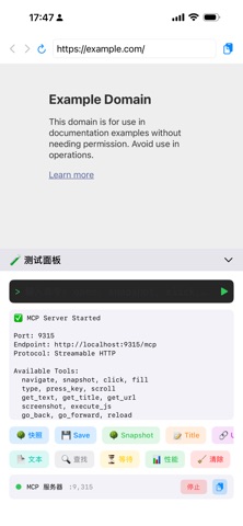 Agent Browser screenshot