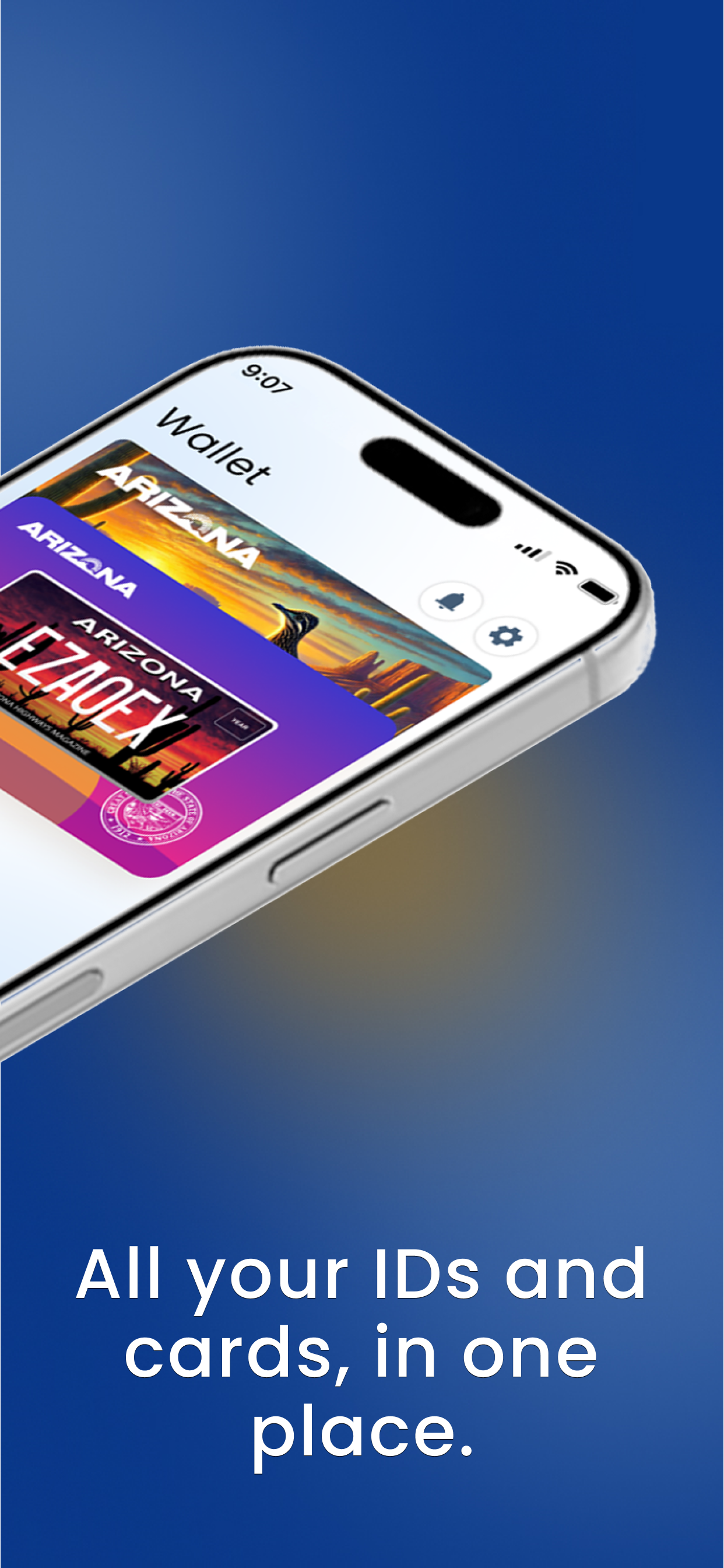 Arizona Wallet screenshot 2