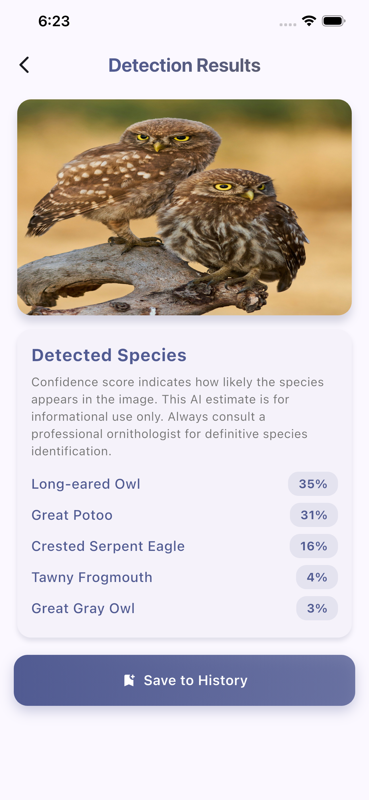 Bird Spotter Lens