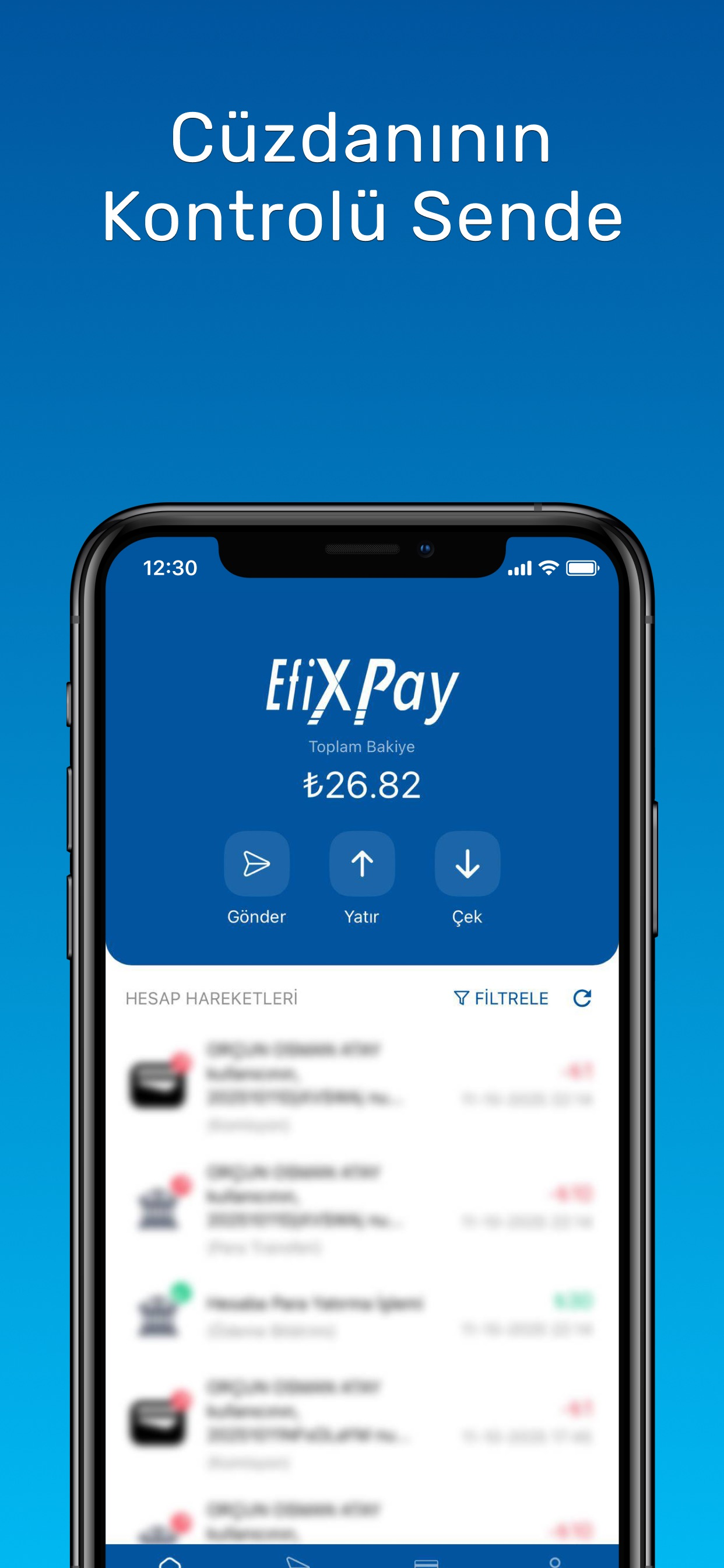 Efix Pay screenshot 3