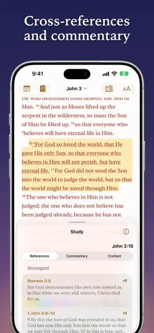 Scripture Alone Bible screenshot 3