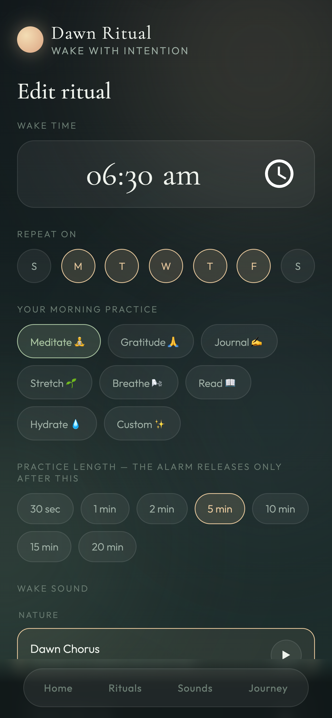 Dawn Ritual screenshot 4