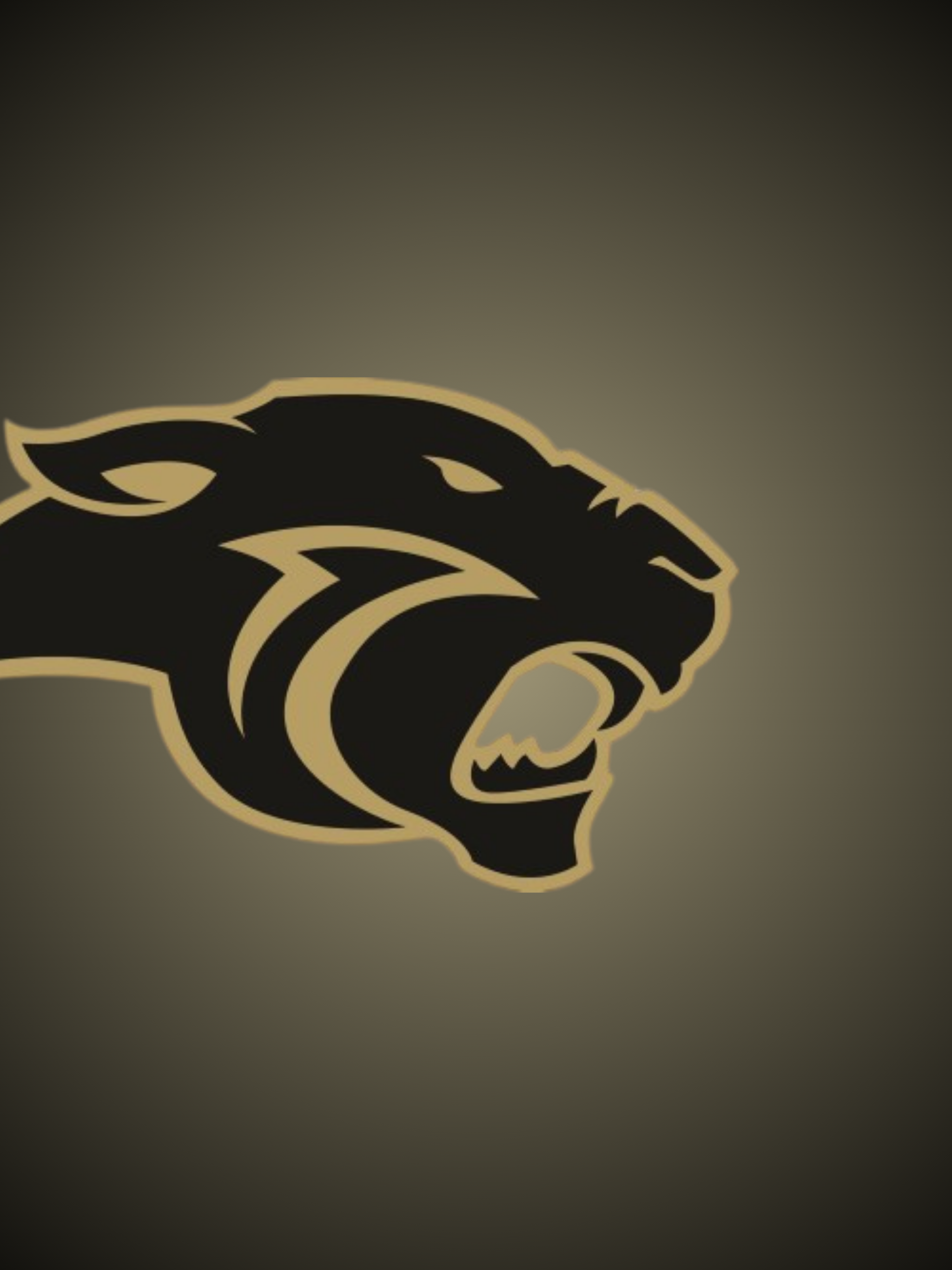 Canton Academy Athletics