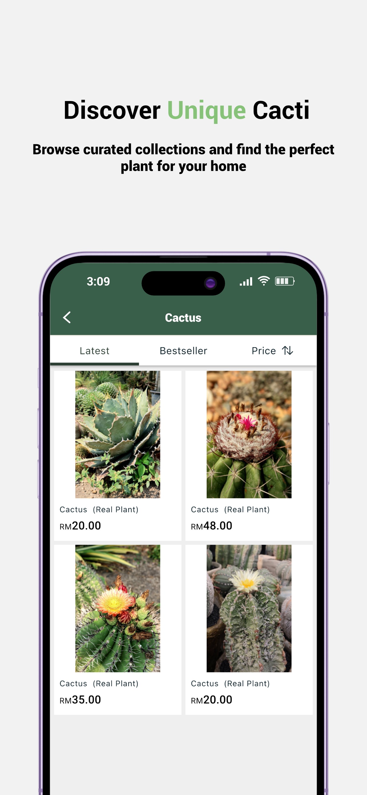Screenshot 3 of Cactus Boy Club