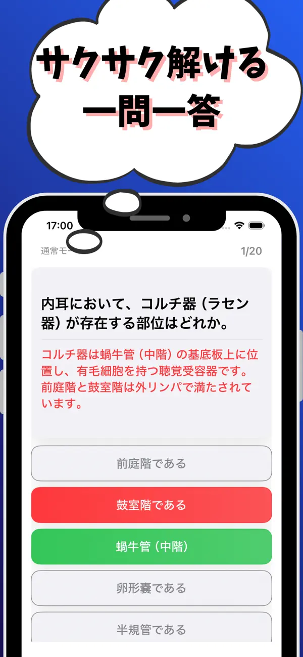 Screenshot #2 pour 言語聴覚士-試験対策-国家資格