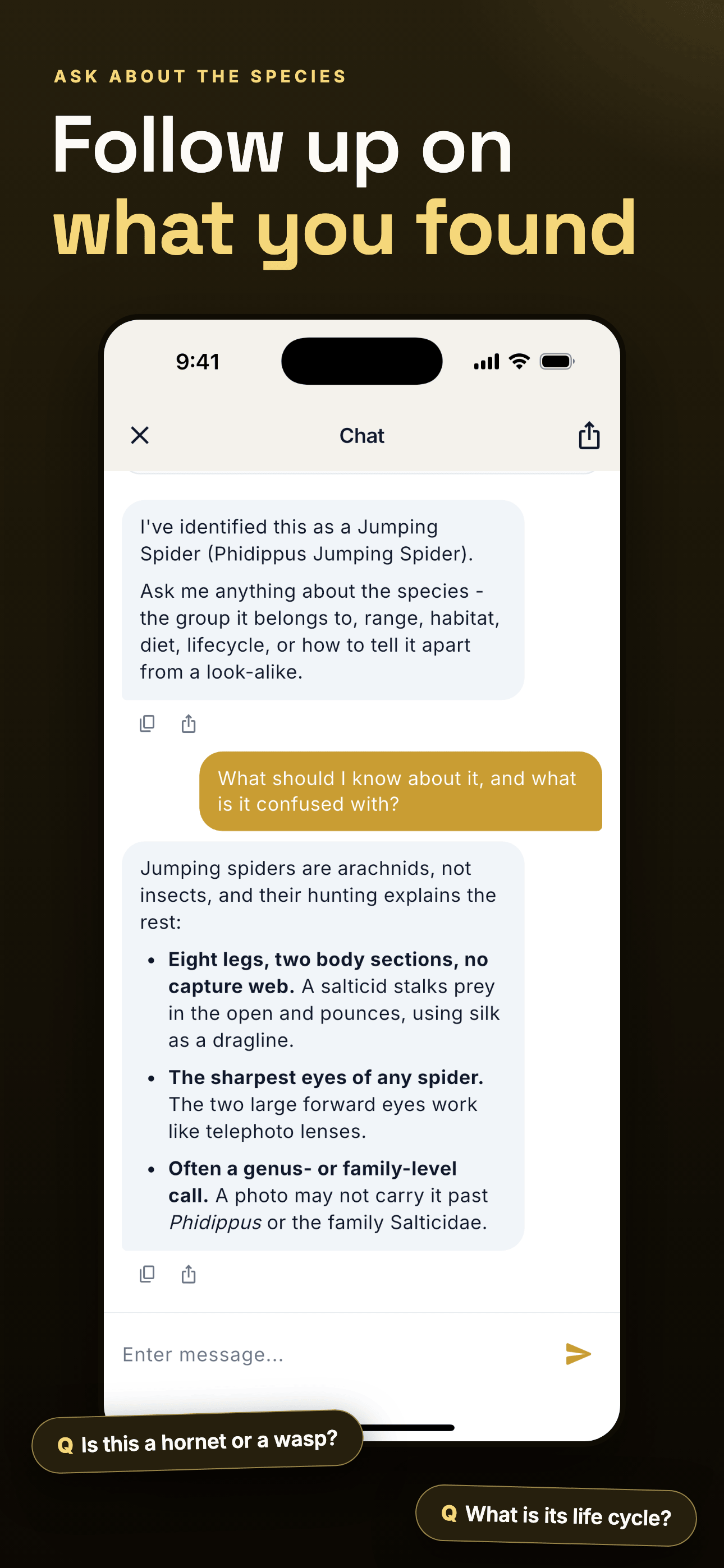 Insect Identifier & Bug ID screenshot 5