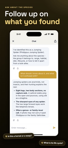 Insect Identifier & Bug Finder iPhone screenshot