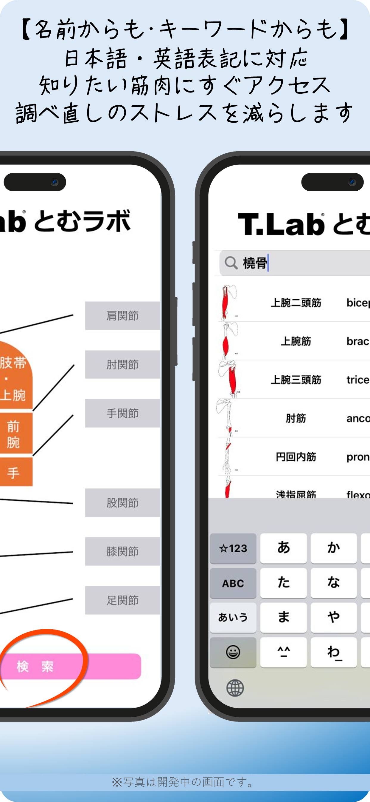 筋肉辞典