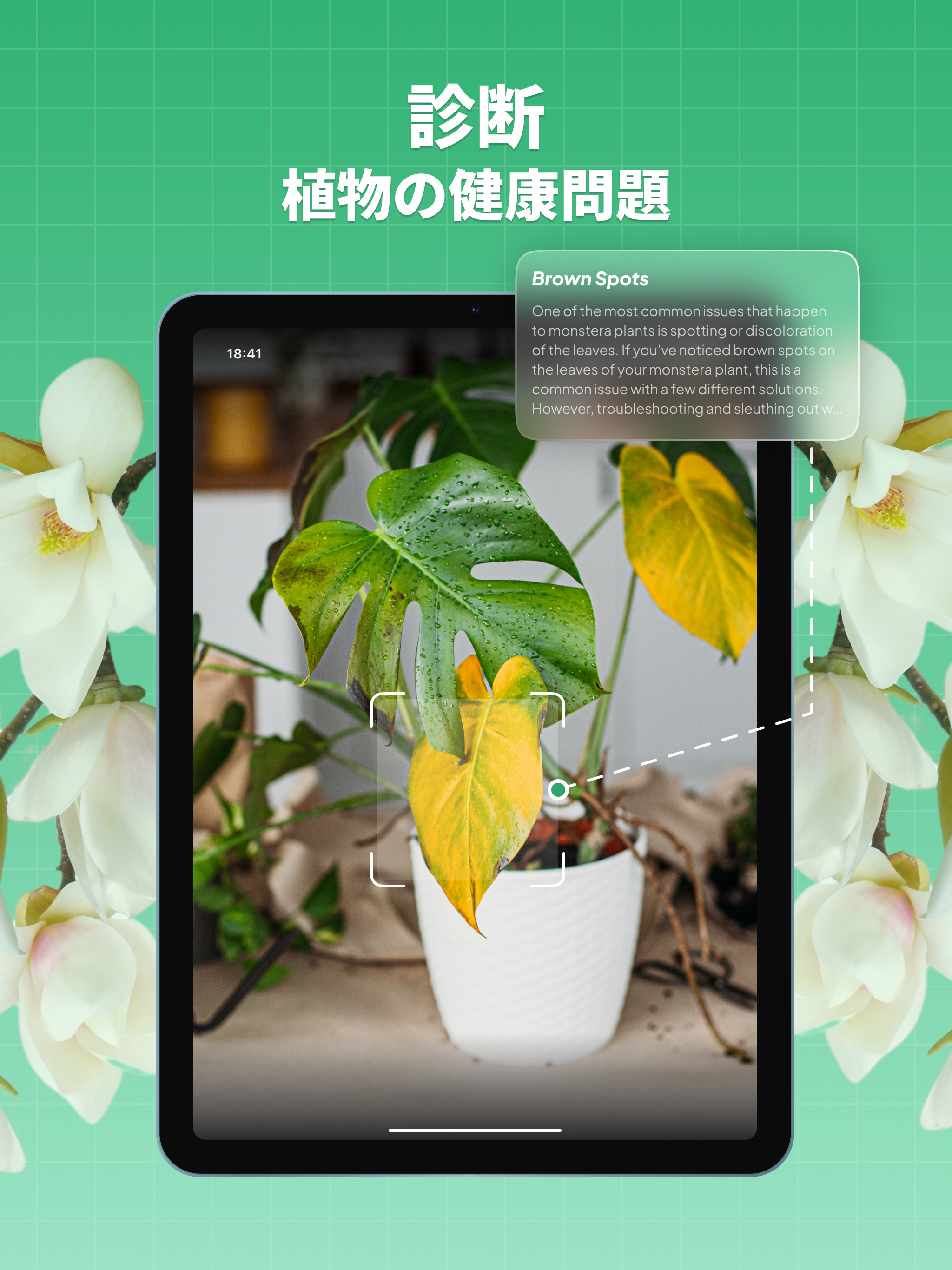 https://is1-ssl.mzstatic.com/image/thumb/PurpleSource211/v4/b3/d2/5e/b3d25ea4-068a-fe2b-3aad-b7ee822bd1ea/ipad_03.jpg/2048x2732.png